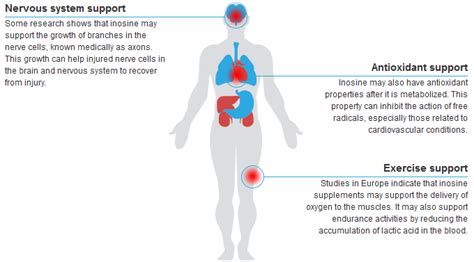 what is inosine benefits.